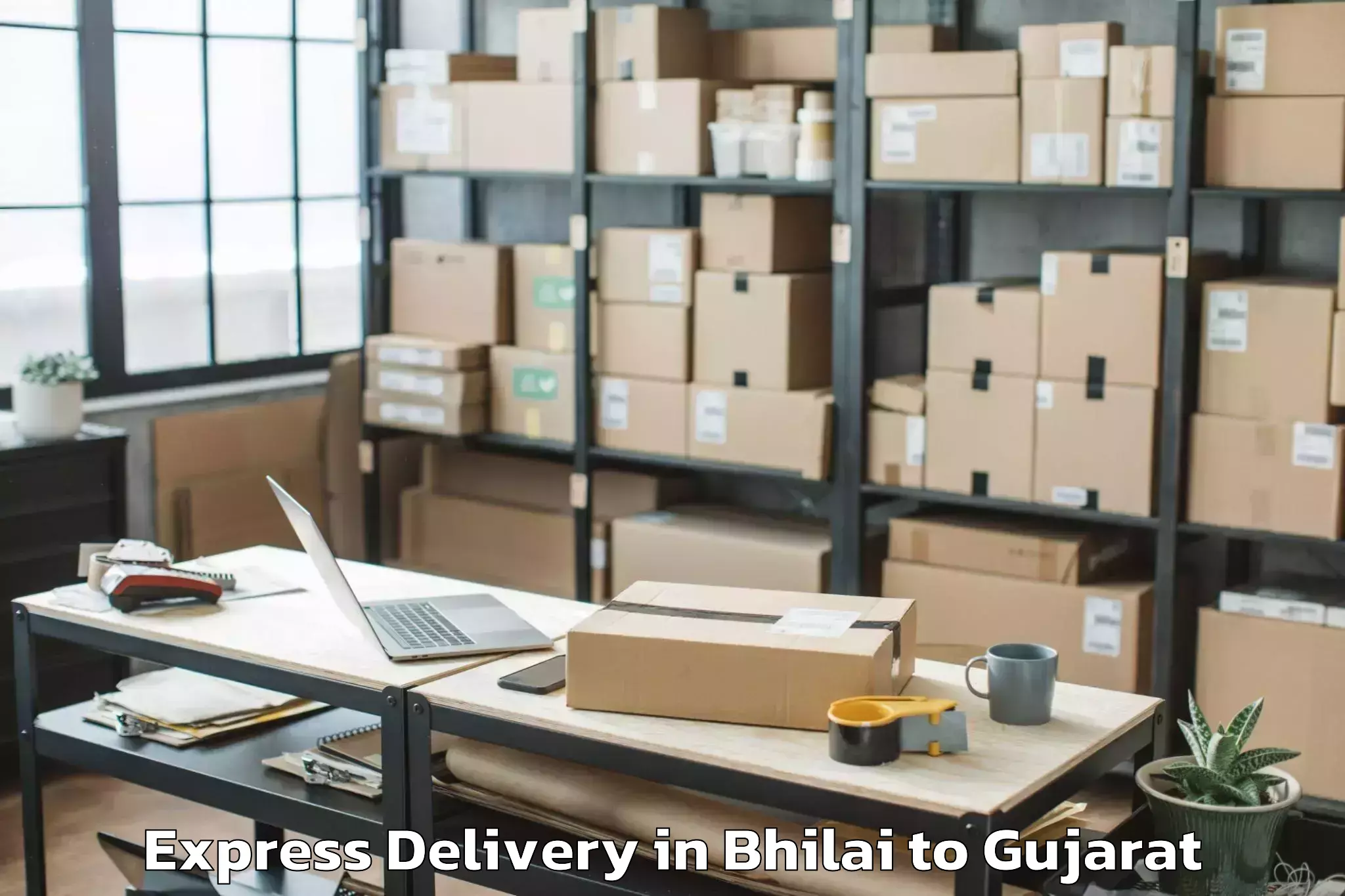 Bhilai to Nirma University Ahmedabad Express Delivery